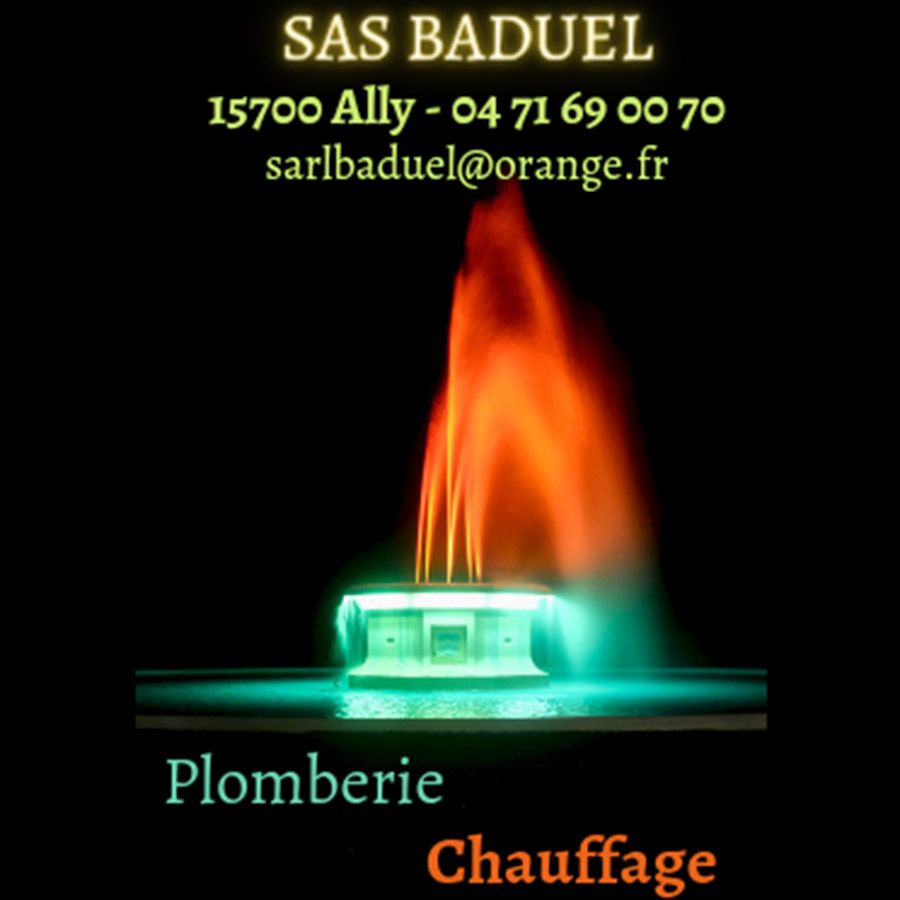 SAS Baduel - Logo