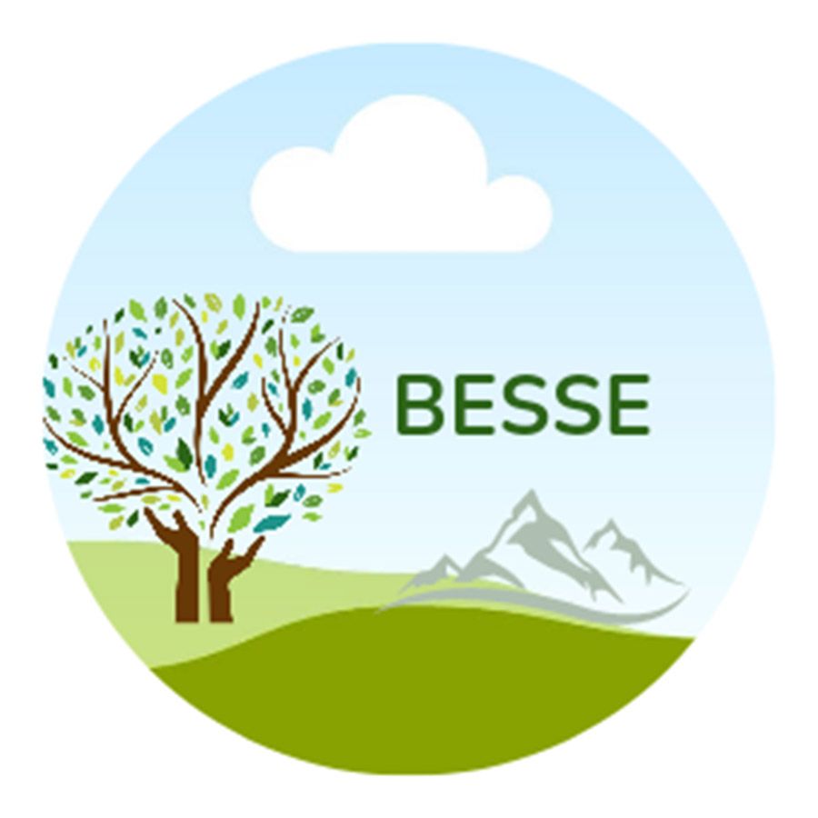BESSE - Logo